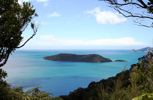 Motuara Island, Queen Charlotte Sound
