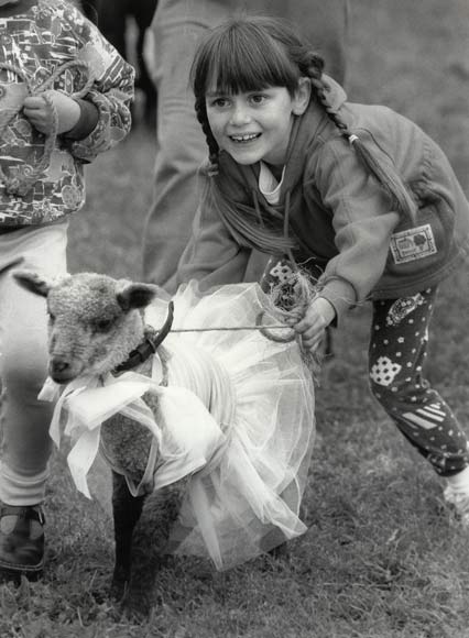 Best dressed lamb 