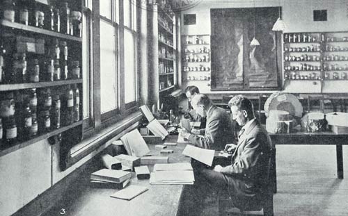 Canterbury School of Forestry class