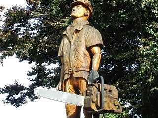 Pine man, Tokoroa