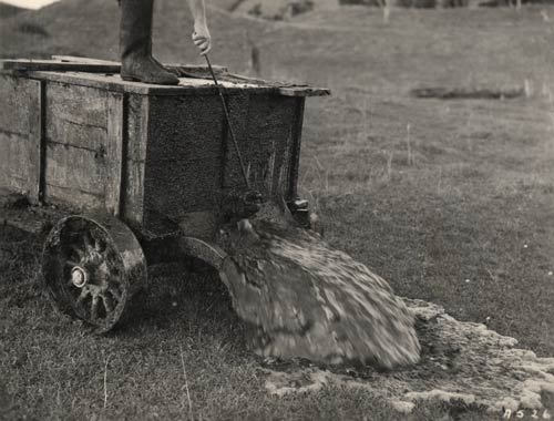 Organic manure