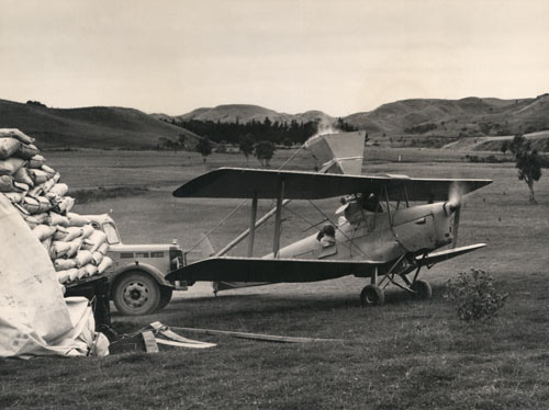 The Tiger Moth