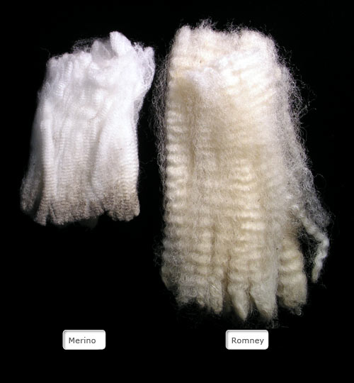 Merino and Romney wool