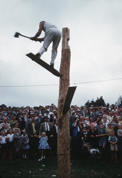 Wood-chopping competition