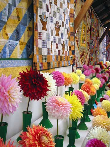 Dahlias and quilts
