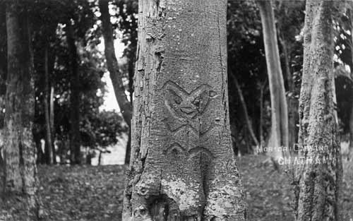 Tree carving