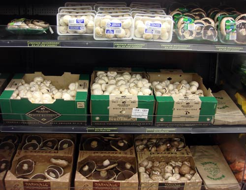 Button mushroom display