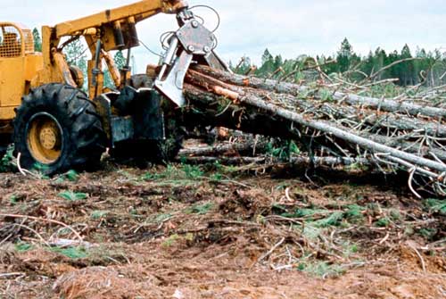 Grapple skidder 