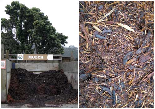 Pine bark mulch