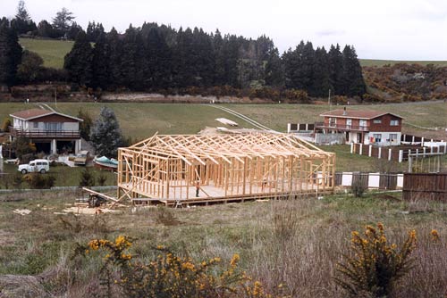 Radiata pine house framing