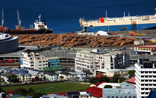 Logs ready for export