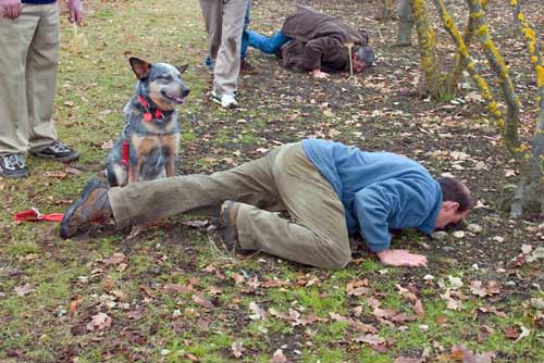 Truffle sniffing