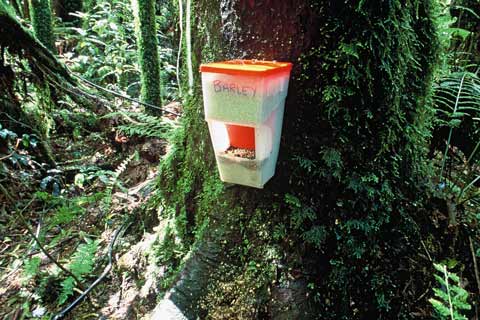Possum bait station
