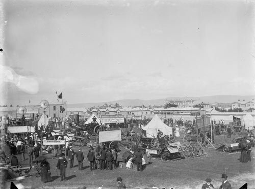 Napier Agricultural and Pastoral Show