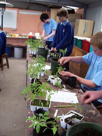 Horticulture at secondary school