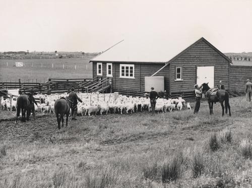 Stock work at Flock House