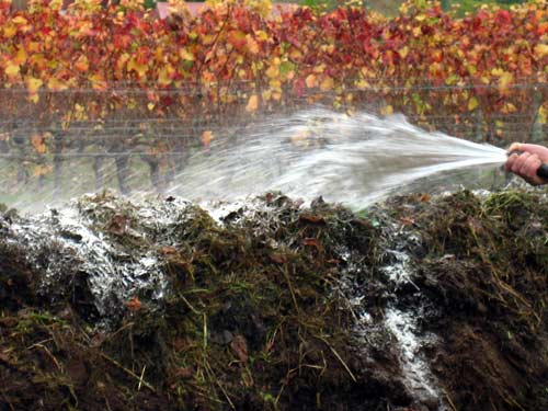 Watering the compost