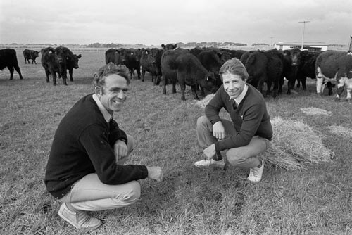 Inspecting drench-free cattle