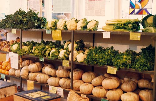 Winter produce, Organic Food Co-op 