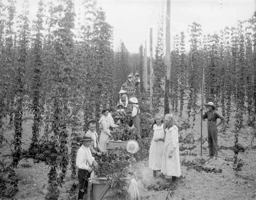 Sorting hops 