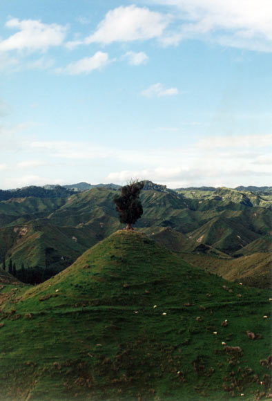 Whanganui hill country