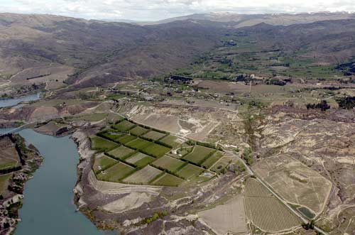 Lake Dunstan and vineyards