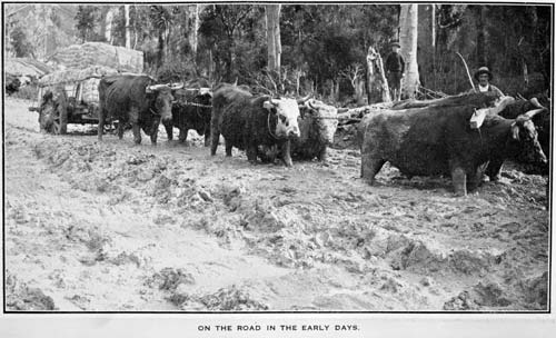 In the mud
