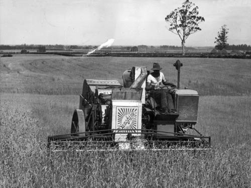 Header harvester, 1930