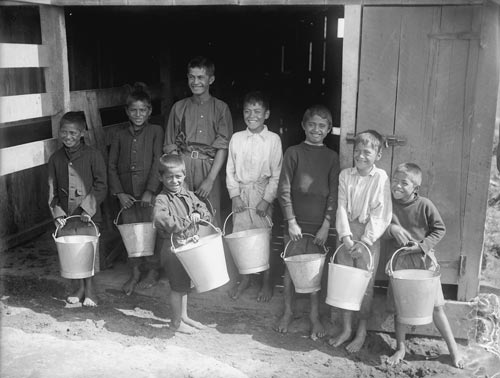 Milk boys