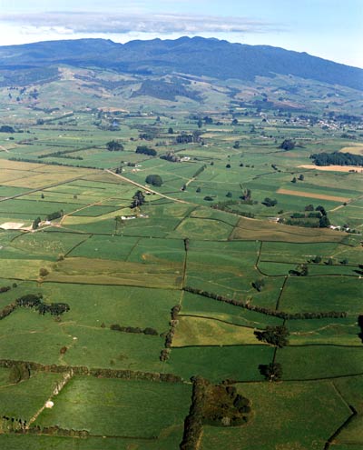 Pirongia mountain