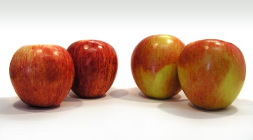 New Zealand cultivars 