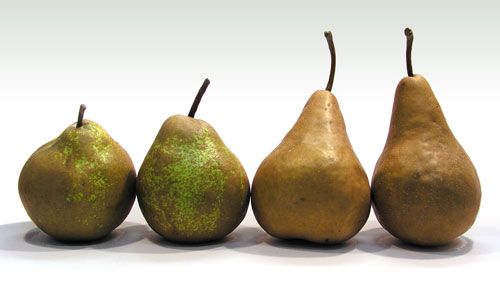 Pear varieties