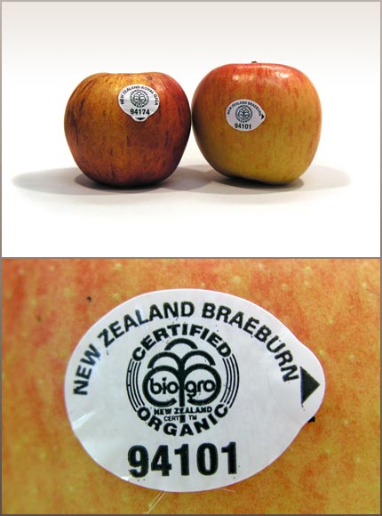 Organic apple with sticker