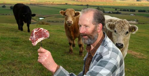 Prize-winning steak and surviving cattle