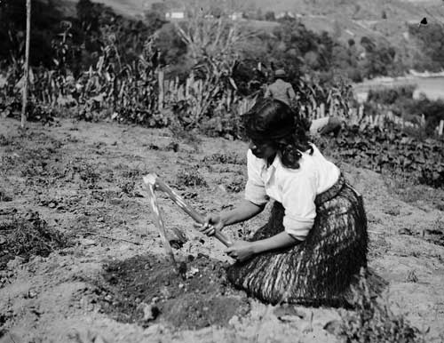 Woman using a timo
