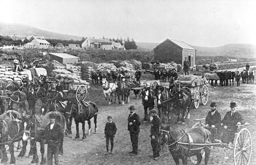 Farmers unloading grain