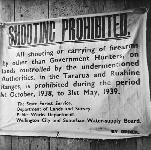 No shooting