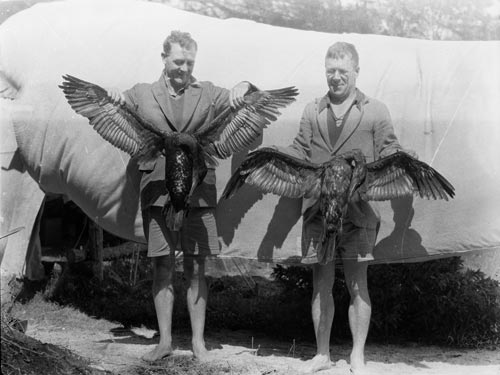 Hunted shags