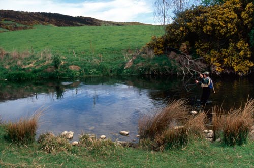 Trout fishing