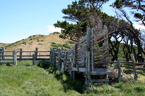 Old cattle-loading ramp