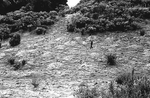 Stone mounds