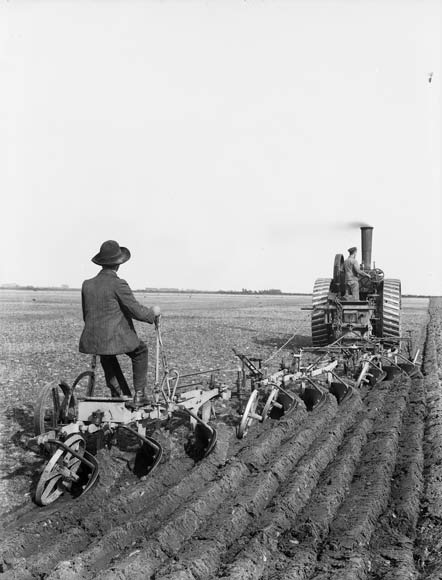 Ploughing on a grand scale, around 1910