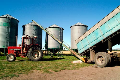 Grain silos