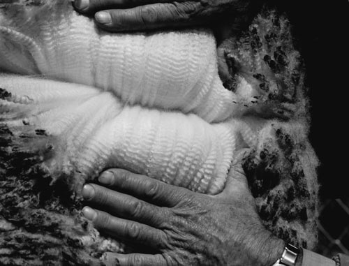 Corriedale wool