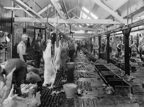 Belfast Freezing Works, 1920s