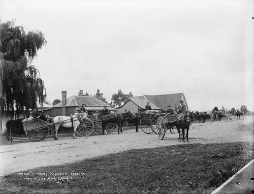 Dairy factory, Temuka 