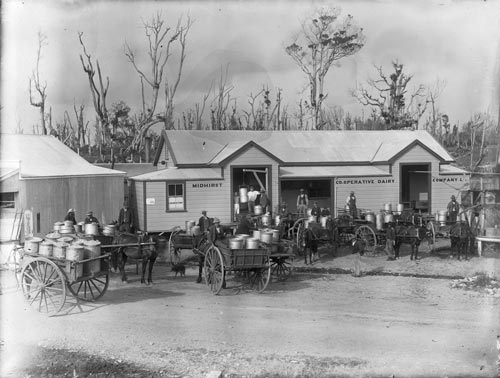 Midhirst Co-operative Dairy Company, about 1900 