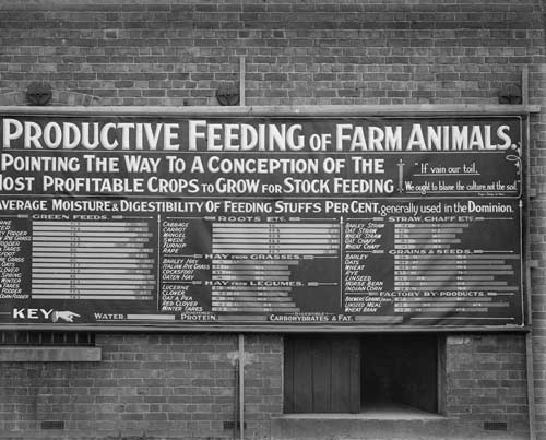 Stock feed table