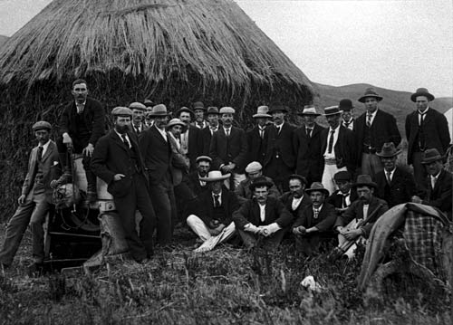 Farm cricketers