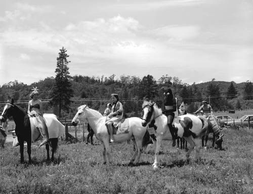 Pony club carnival